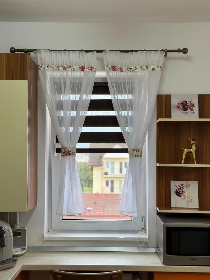 Apartament Iris Apartment Sibiu Luaran gambar